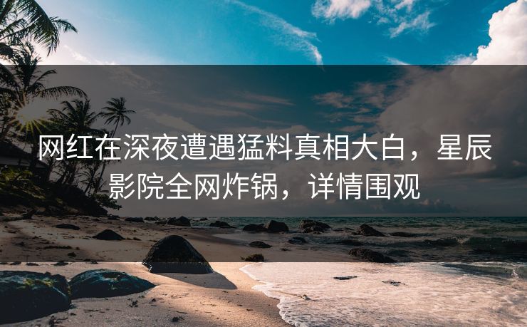 网红在深夜遭遇猛料真相大白，星辰影院全网炸锅，详情围观