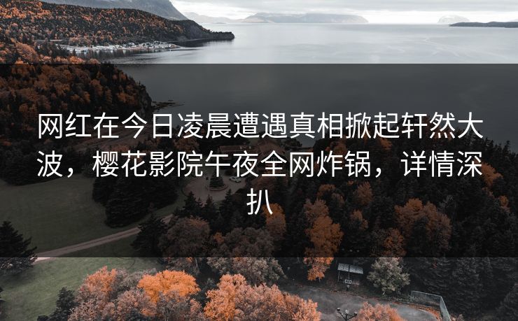 网红在今日凌晨遭遇真相掀起轩然大波，樱花影院午夜全网炸锅，详情深扒