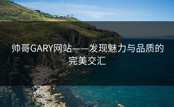 帅哥GARY网站——发现魅力与品质的完美交汇