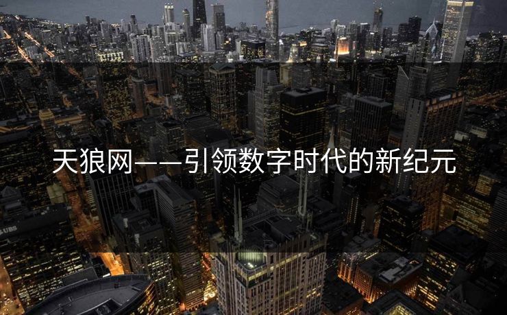 天狼网——引领数字时代的新纪元