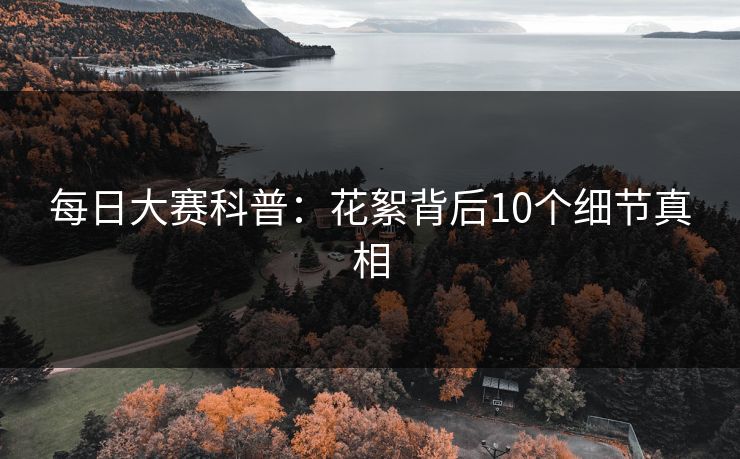 每日大赛科普:花絮背后10个细节真相 每日大赛科普:花絮背后10个细节真相