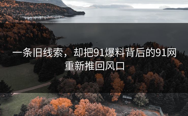 一条旧线索，却把91爆料背后的91网重新推回风口